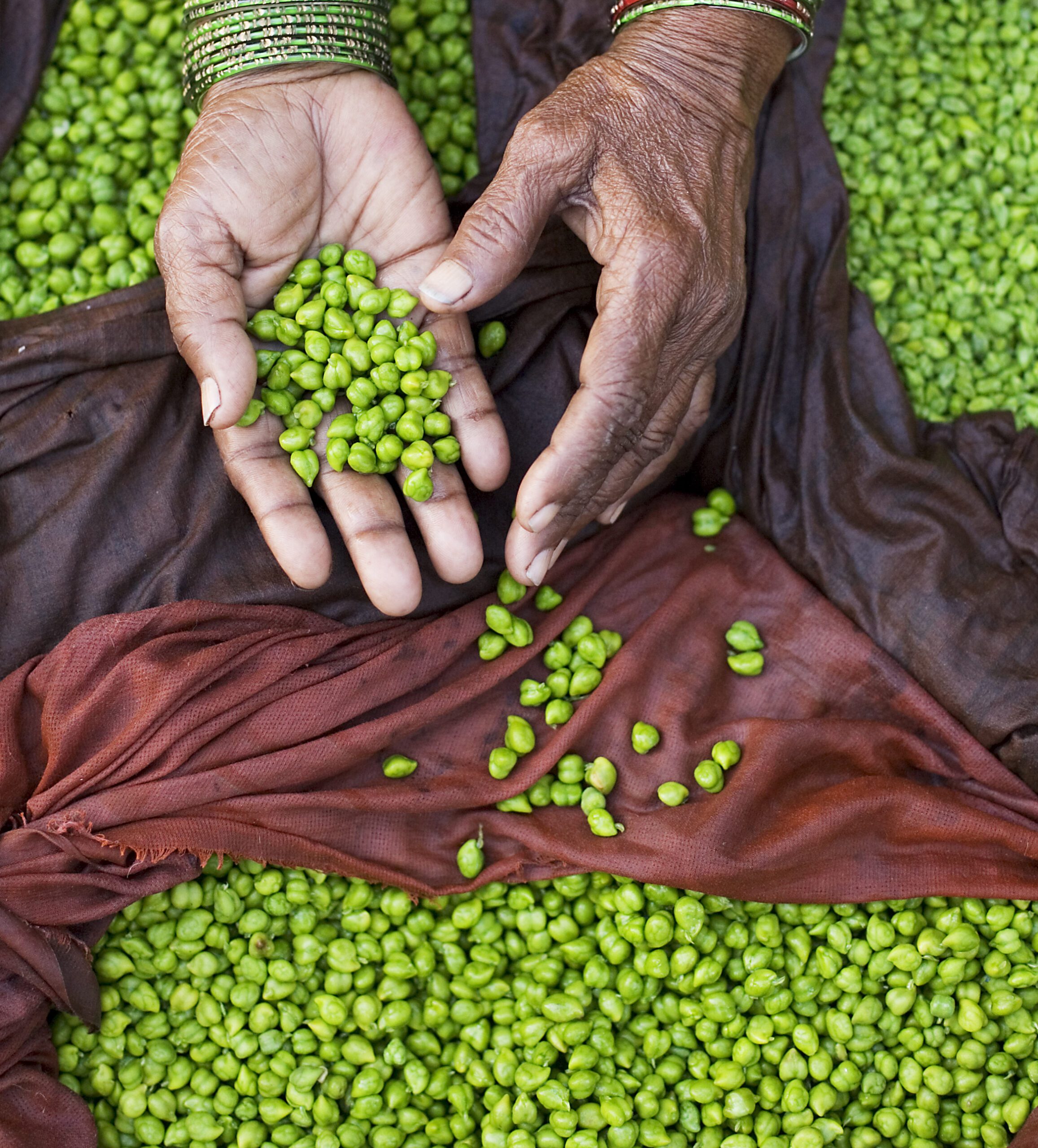 Chickpeas Pure Punjabi
